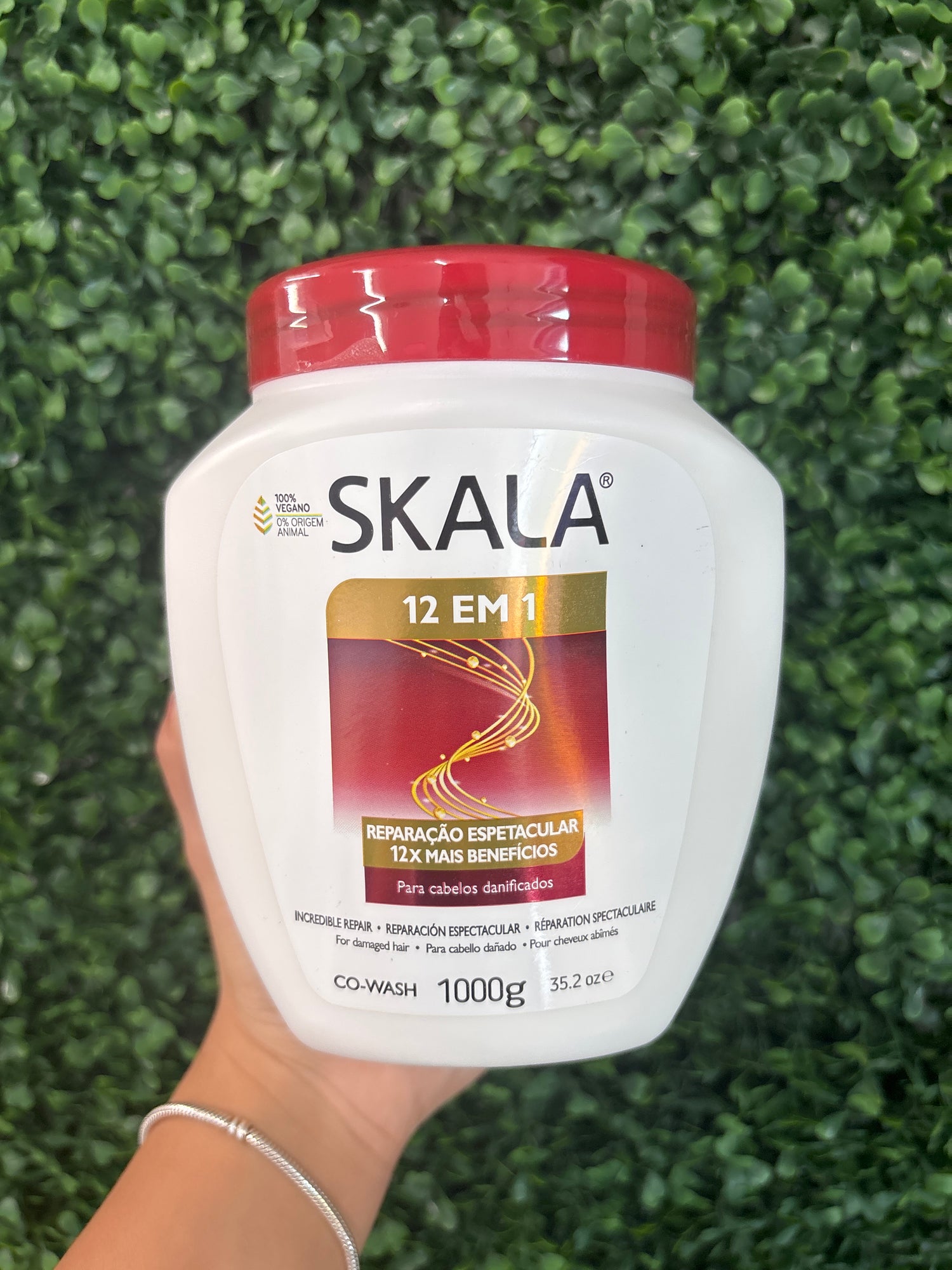 Skala 12 em 1