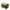 Guarana Case of 12