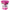Pitaya Foods sorbet Fruit du dragon biologique 473 ml